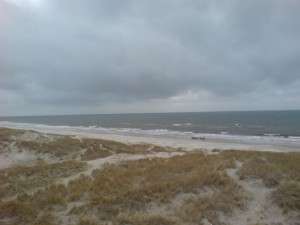 strand, dünen, meer